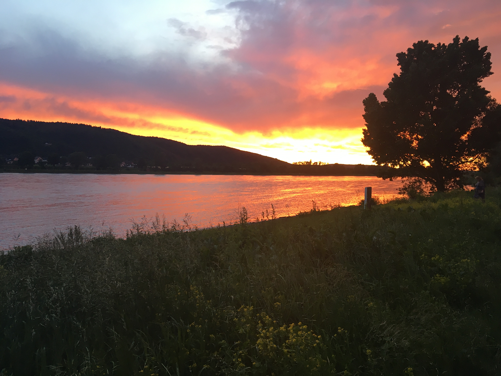 Abendröte über dem Rhein