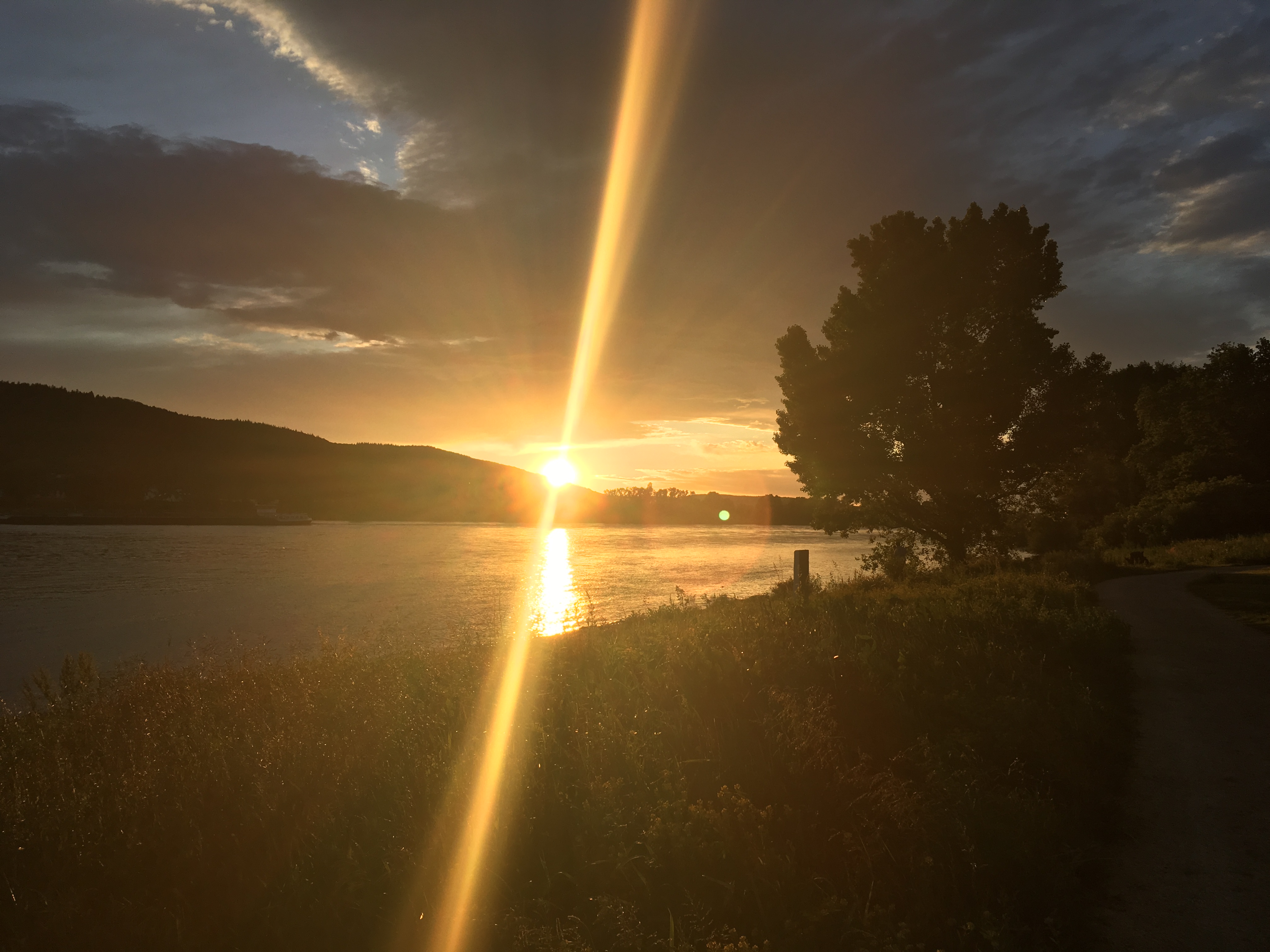 Sonnenuntergang über dem Rheintal